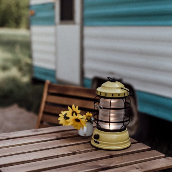 Forest Lantern Dusty Yellow design Barebones