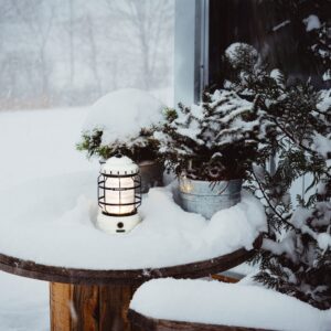 Forest Lantern Vintage White design Barebones