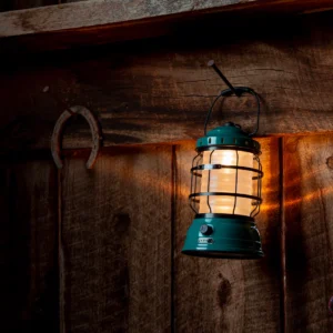 Forest Lantern Teal design Barebones